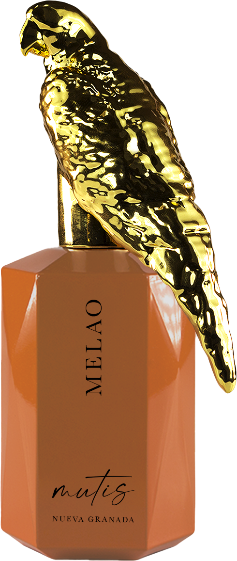 MELAO