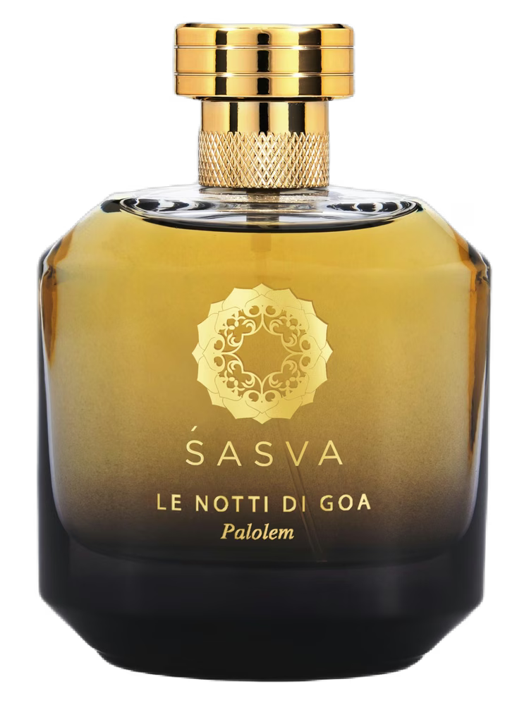 LE NOTTI DI GOA PALOLEM