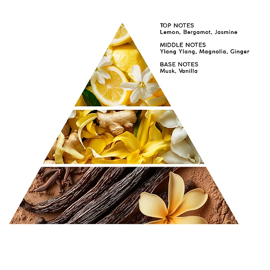 YLANG YLANG & MUSK